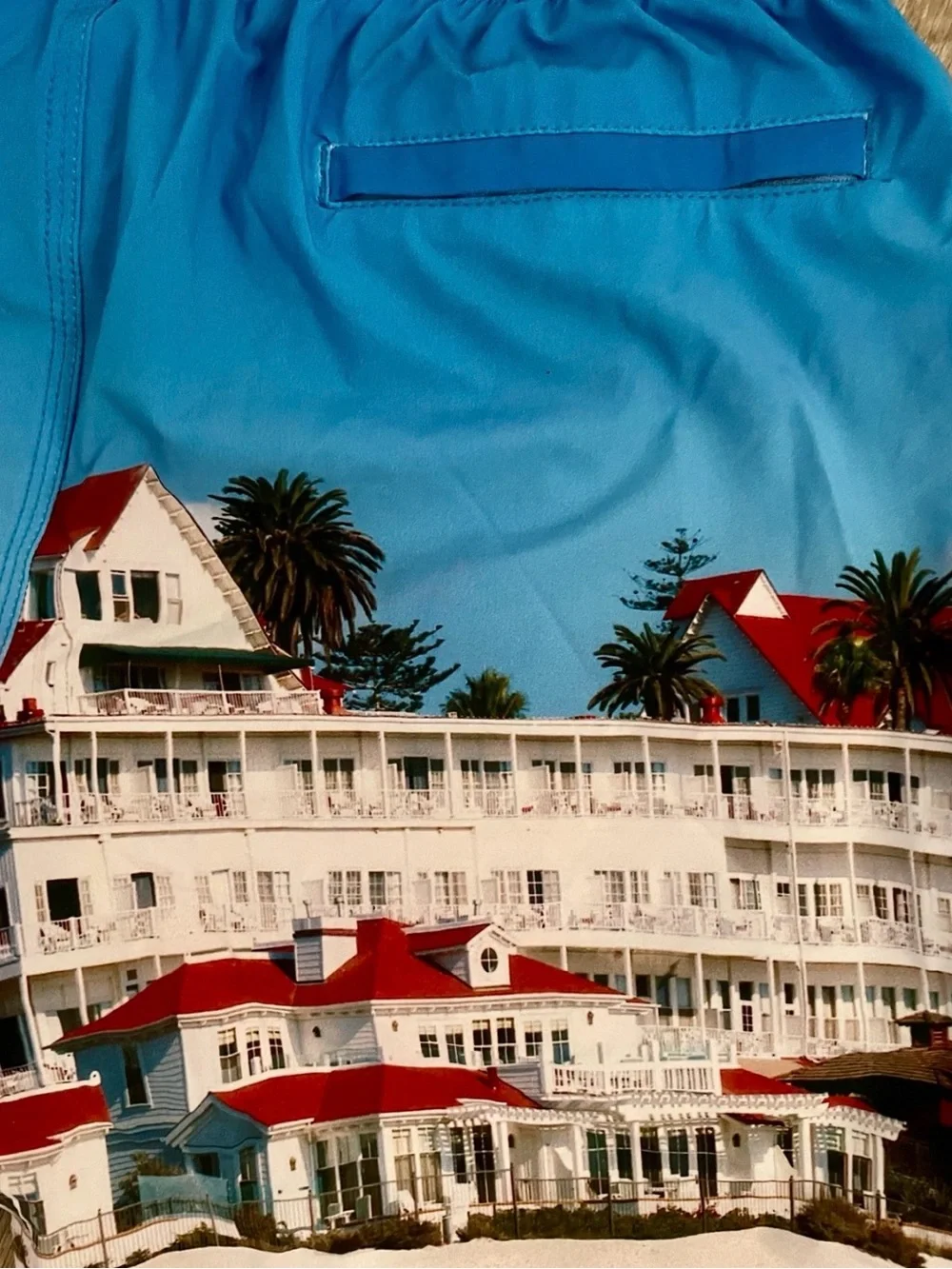 TOES on the NOSE Scenic HOTEL CORONADO San Diego Print SWIM TRUNKS Size Medium